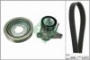 INA 529 0070 10 V-Ribbed Belt Set
